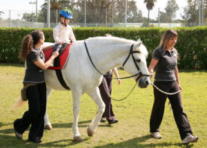 equinoterapia